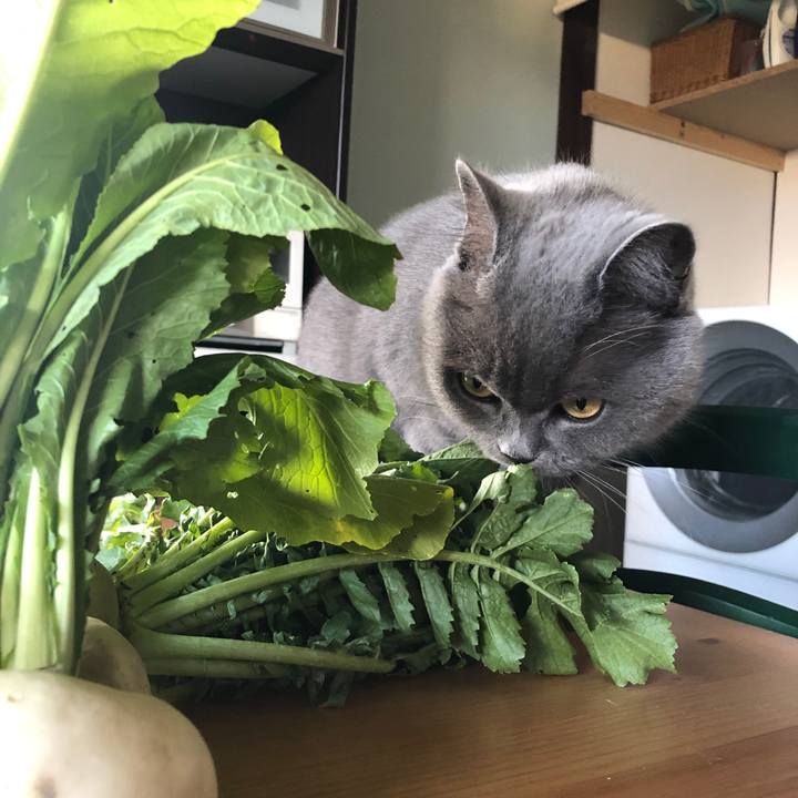 283b333c ff8c 4457 a1f9 d0428a79a758 1578457105170