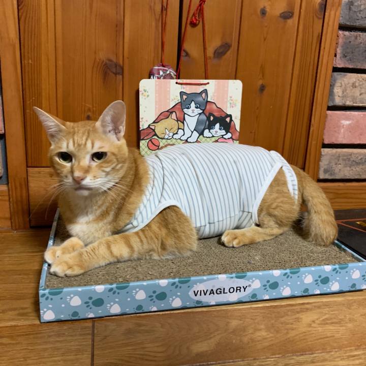 283b443e 0105 4653 847a f7e4879b6381 1569330672429