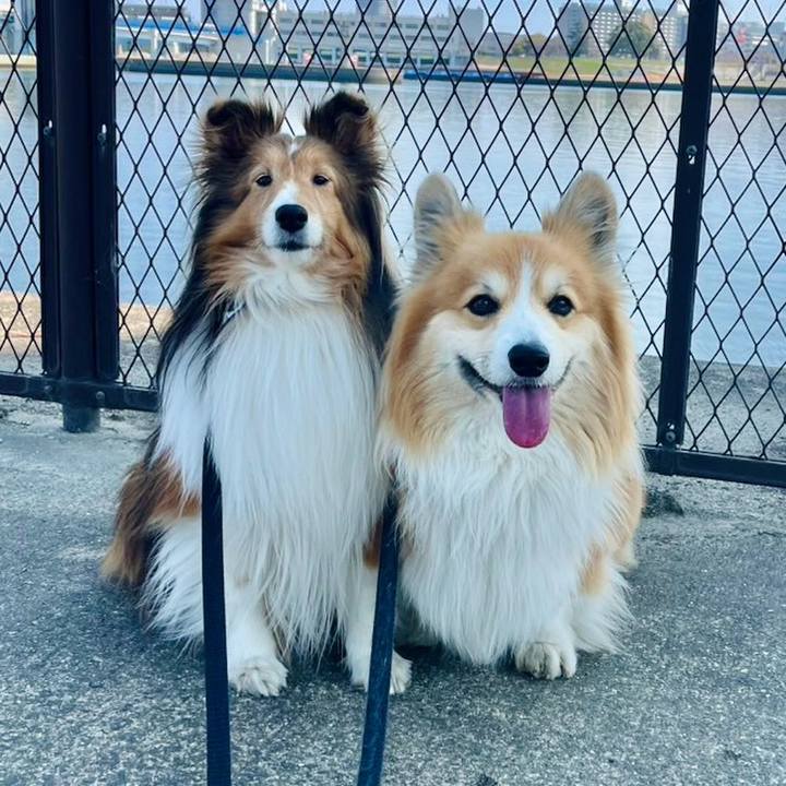 283b687f 46cd 4c8a 9e5b 52b93793869f 1774185098542