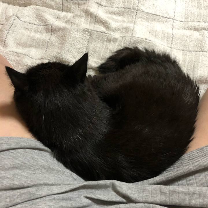 283b6dfd dd9d 4bbf 82e2 be02f4b6410a 1593703826692