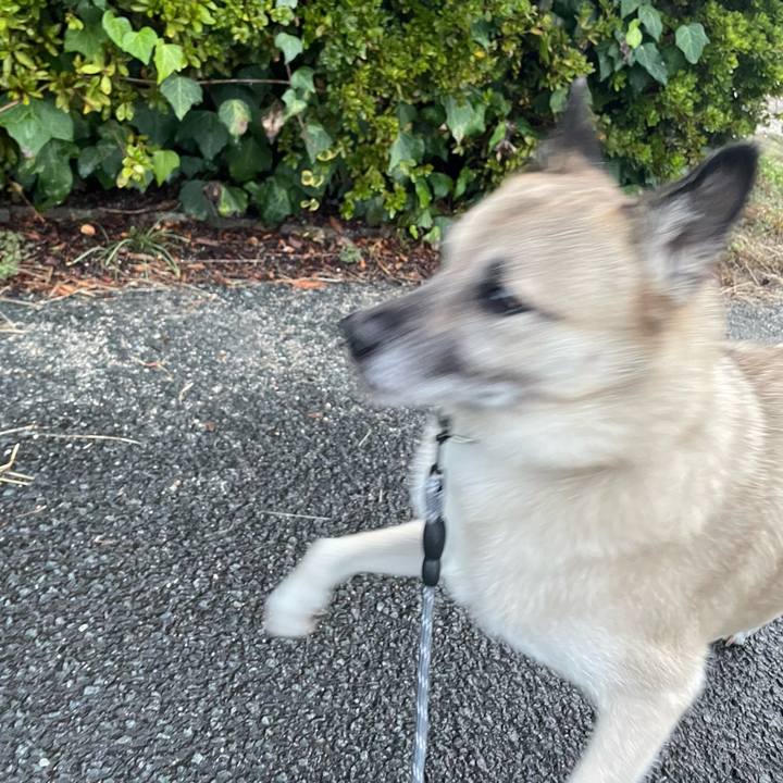 283b74d7 d6c2 410b b4db 5a93e4e9302c 1731326716488