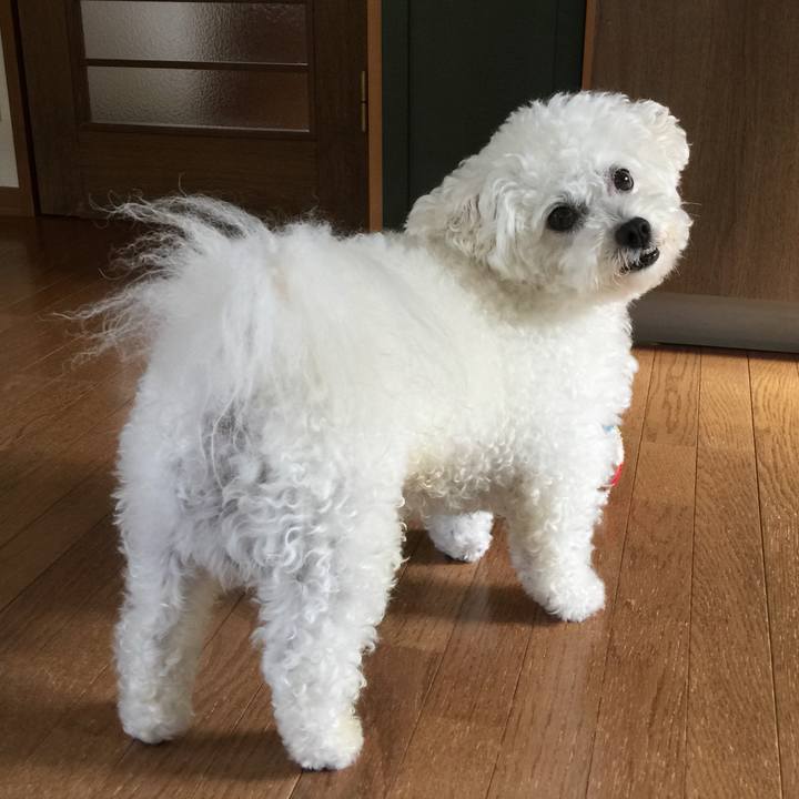 283b8a1c 73e3 4190 a93e 38efb638d482 1531282580462