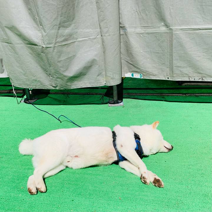 283b9a87 1b78 454b a7e7 54209d8b1e82 1661404003147