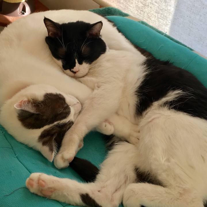 283b9cd2 7314 48ae 8a14 e4186eaf07e0 1516234173044