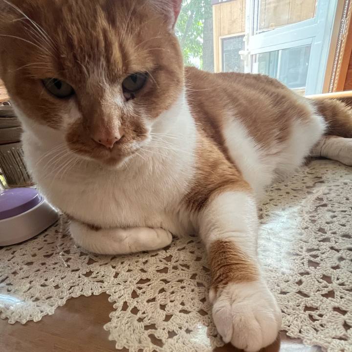 283ba1cc 2656 4c33 a92b 75b5251d3710 1754440748912