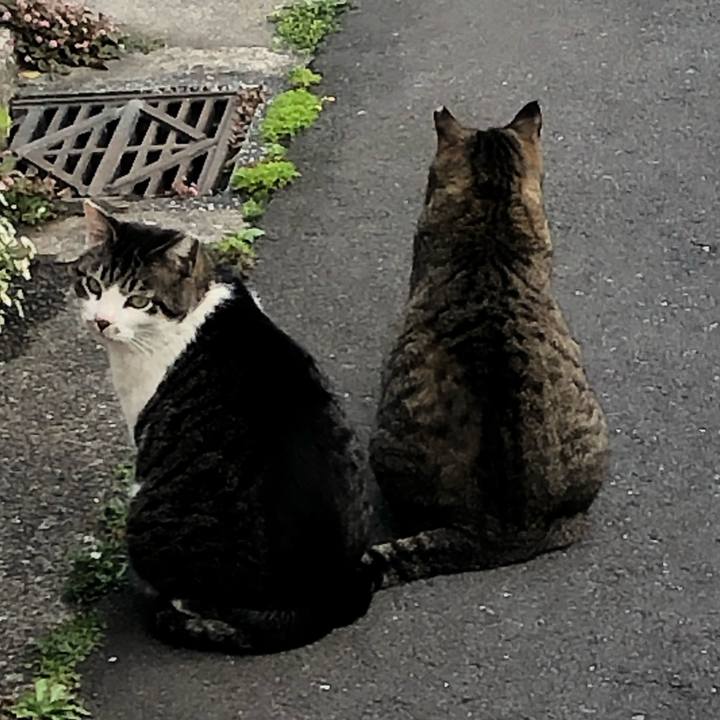 283be687 05fe 4cdb 94f0 64b5648ddc32 1556674756125