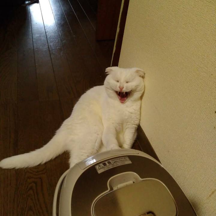 283be759 1adc 4787 862e 6963a7d4ef30 1599817256703