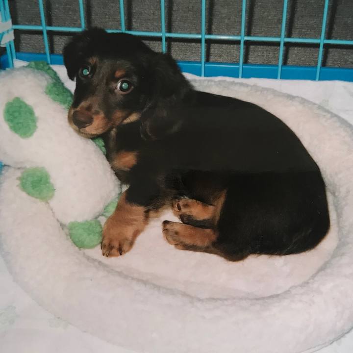 283c1624 9192 4b9f 831d cafd82243d13 1585273107948