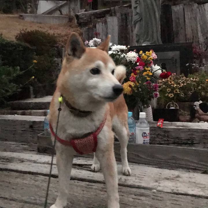 283c218c ab1d 4e56 a211 e24e2d06878f 1579163556714