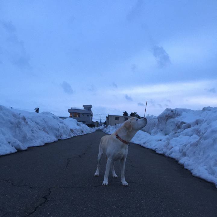 283c2f06 f6ba 41dd 9bea a8bb90bcea4e 1519722512698