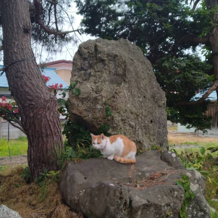 283c3162 2a5c 41e7 bf59 ebac197f91ab 1748560808173