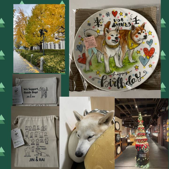 283c5ef8 a673 4676 a035 bdb0cf851d34 1638715679907