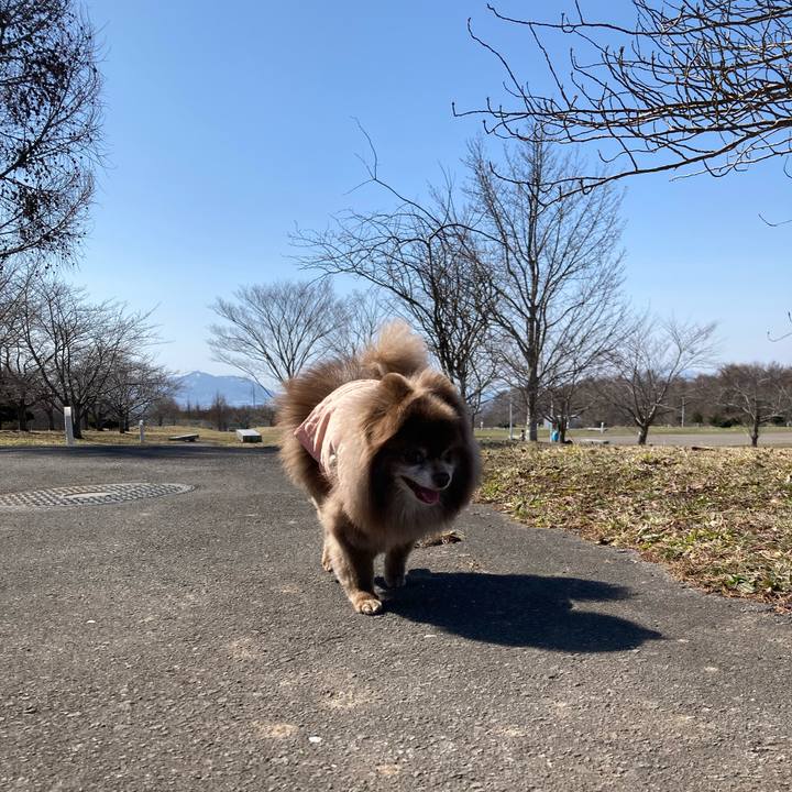 283c7786 0977 4d09 9af0 0b9228f50bc4 1679430819504