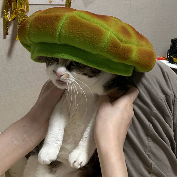 283ca697 ee5d 4d25 801d 0b6a230c2ec2 1763415408896