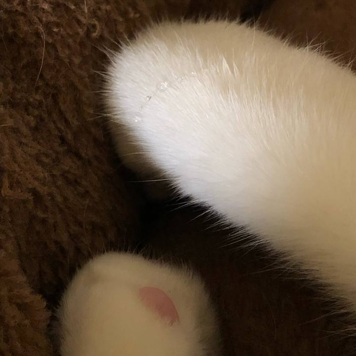 283cbcc6 54ba 4668 a988 71dca06e8fb0 1559161708166