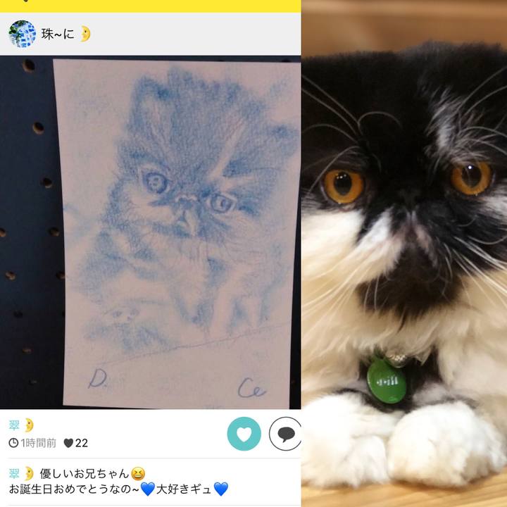 283cd0e2 a4aa 4406 904b 478c2a4a9f86 1569503447513