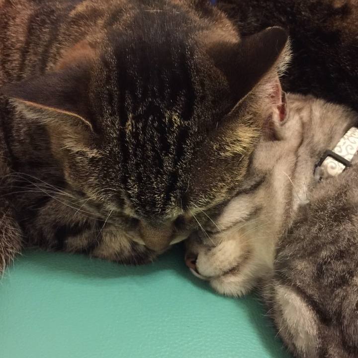 283cd0f7 0d46 4664 bf0f 75604edd7988 1559321456139