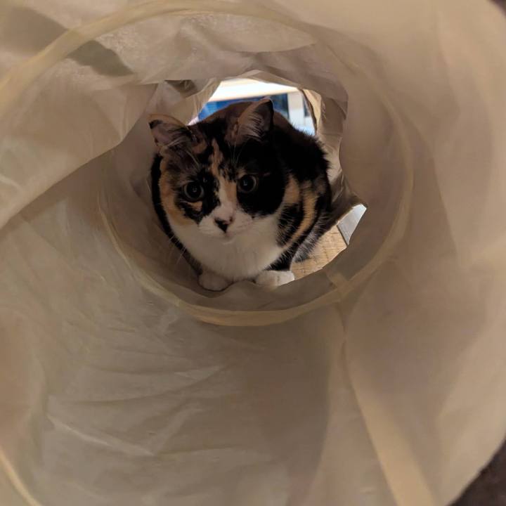 283cd38d 2fd8 4b18 90ae c3f5050311e5 1747281768920