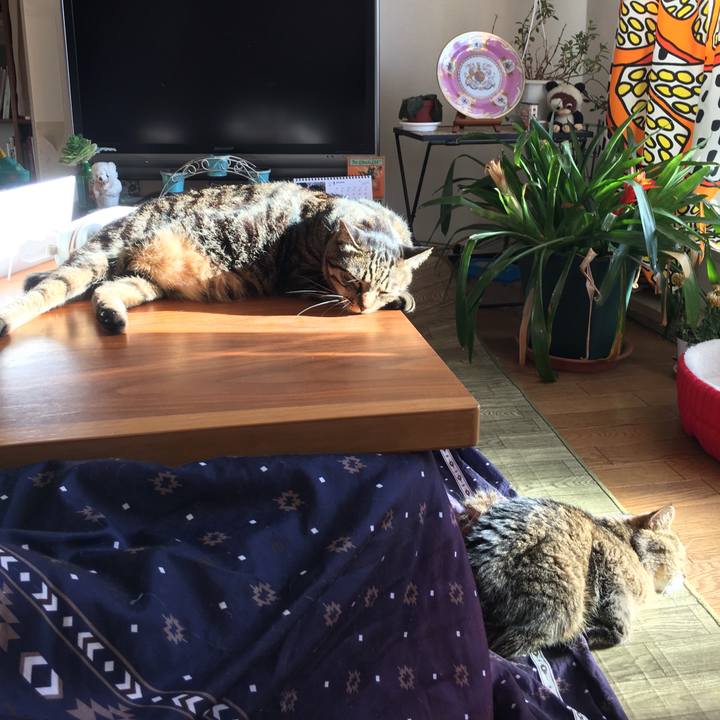 283d67e5 163b 4995 b620 8cf709937ca3 1517751407851