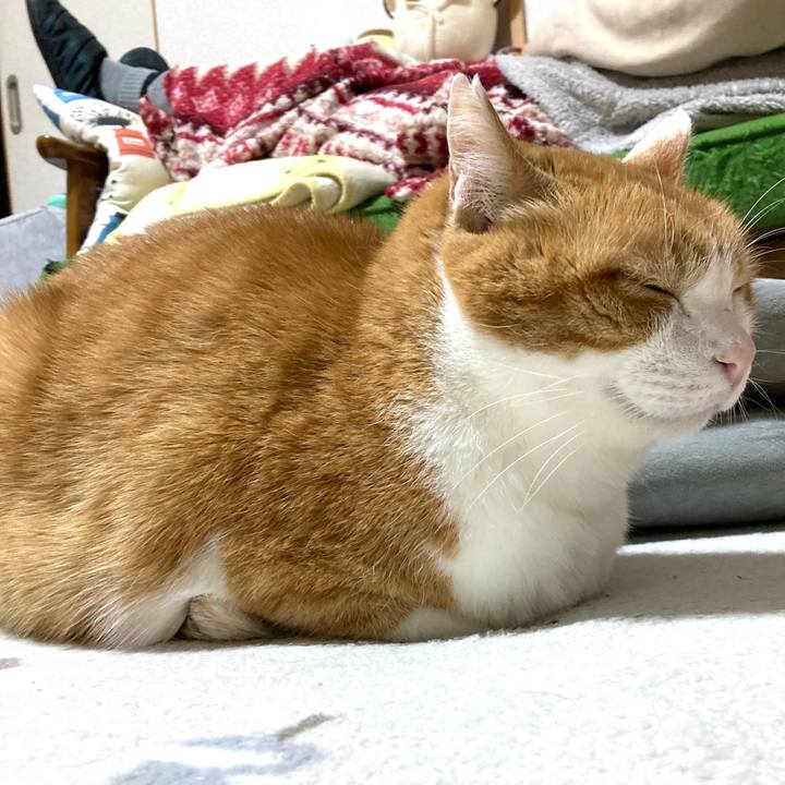 283d9288 7b25 4290 9f54 8e23ac52e51e 1773920296268