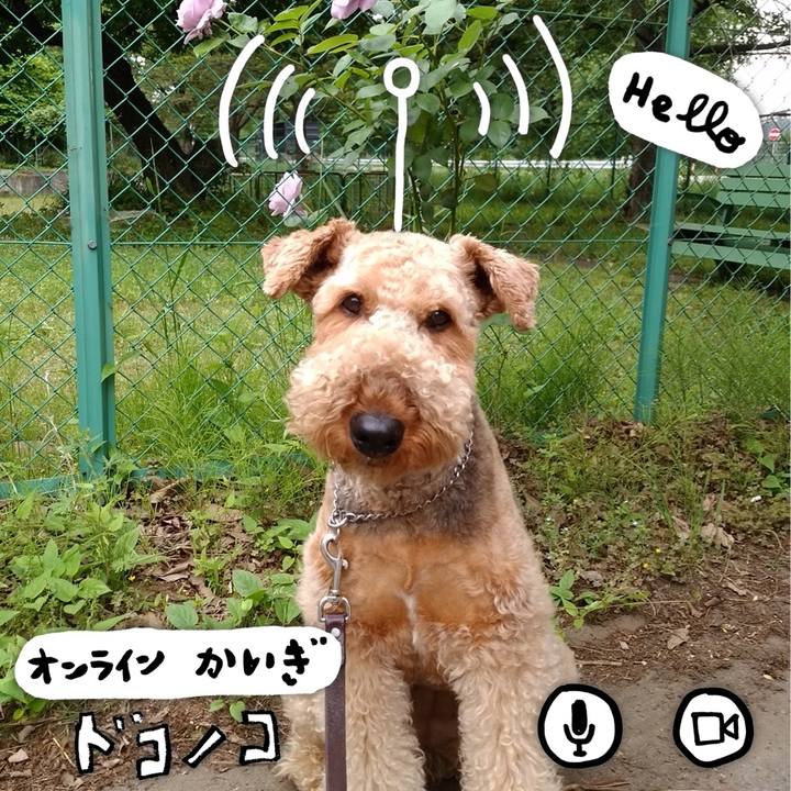 283db32e fe75 4cbe bbaf dff221dd98b3 1590752514669