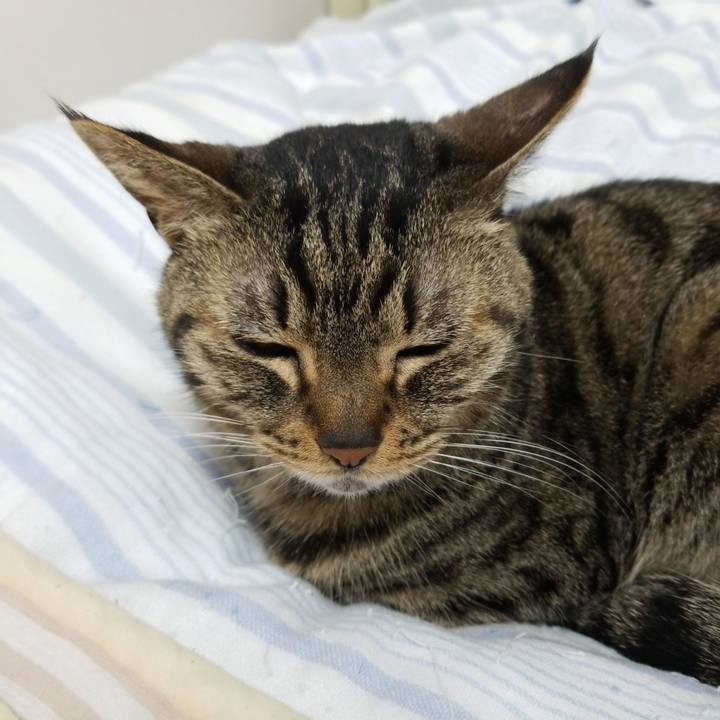 283e0bdb ae20 4527 9aeb 26122c233be2 1589232575850