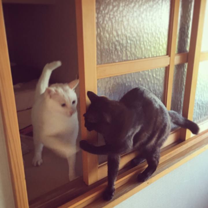 283e1189 626b 47e0 af73 a925af1fd83b 1527113533573