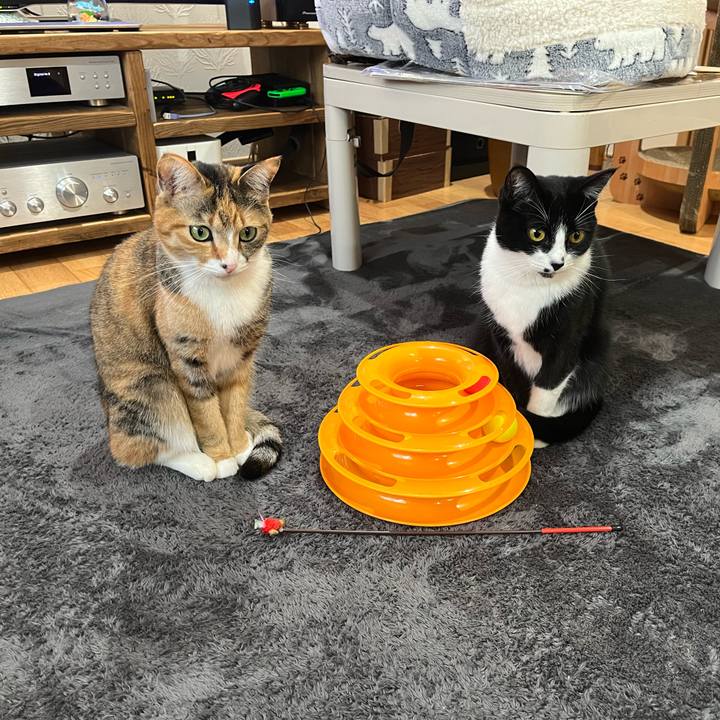 283e5e1d 3a33 4756 aa47 459dbe395d72 1644544949092