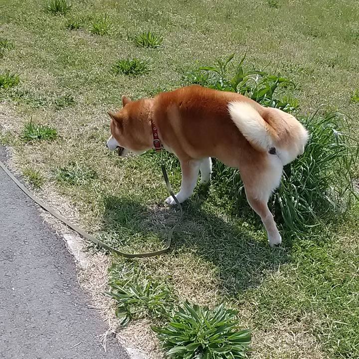 283e82d6 a819 497f b9b1 b875691f9e6d 1617871077706