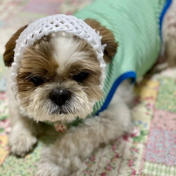 283e92a6 3283 478e 8213 646aa10a77b5 1632630583006