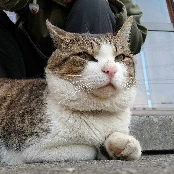 283e98f8 4fa8 449f 9ff9 7032bf954cca 1588171922260