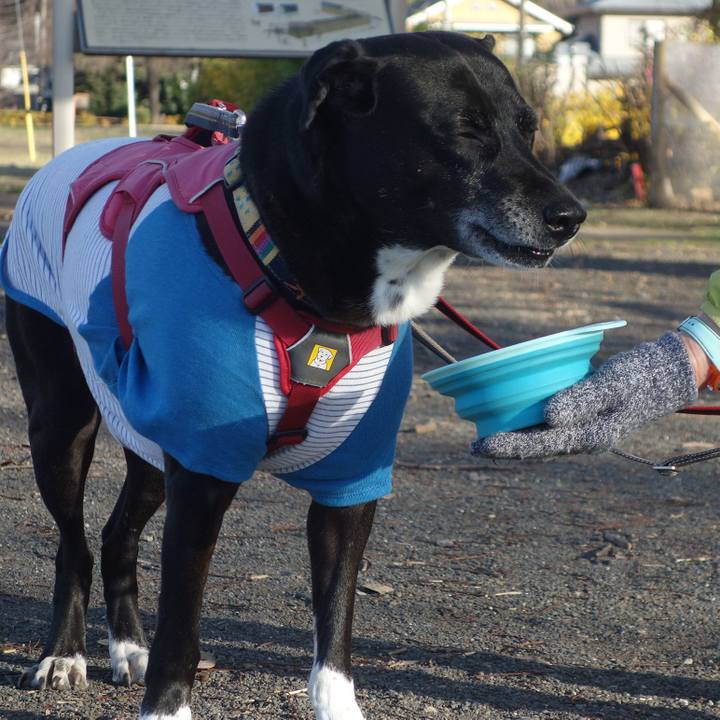 283ea03e 2423 4689 9da2 f8daf4773043 1702774502275