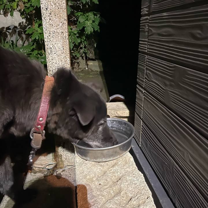 283ea9cb fc6c 4969 b4f3 4cb7ac7f7d68 1714068861666