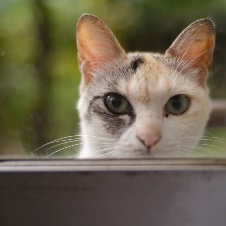 283ed794 09e2 4604 b608 05308c671a07 1687741878437