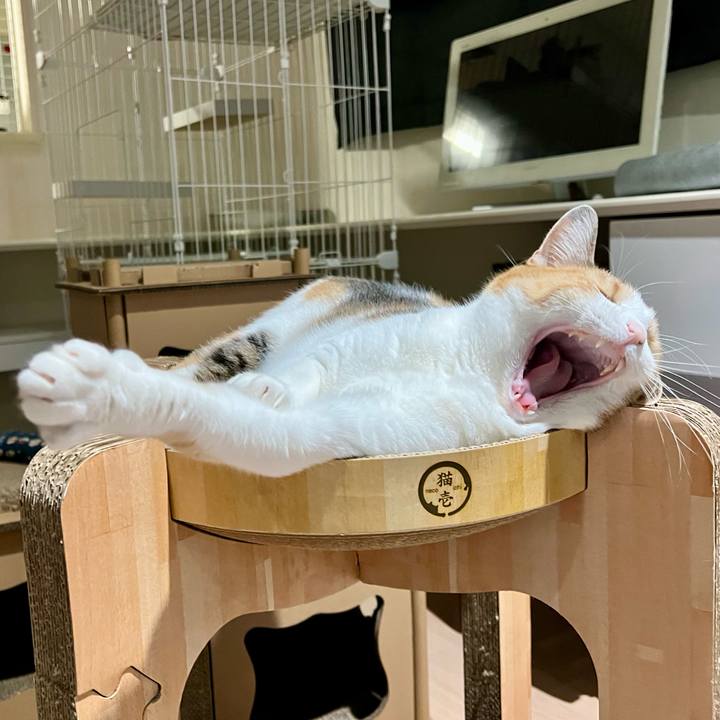 283f3375 65b8 497b b651 fbaff875631f 1768792359439