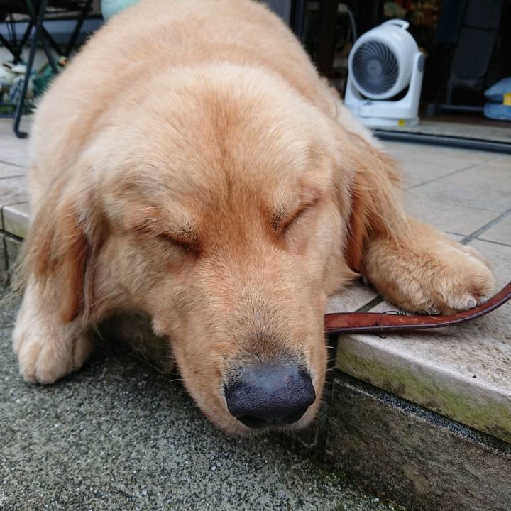 283f582e 71d8 40aa be0b 90d016c4180d 1529451385075