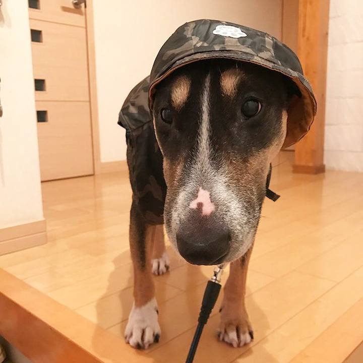 283f6f40 e7d8 42e6 b5ee a9c529e18c96 1508658434142