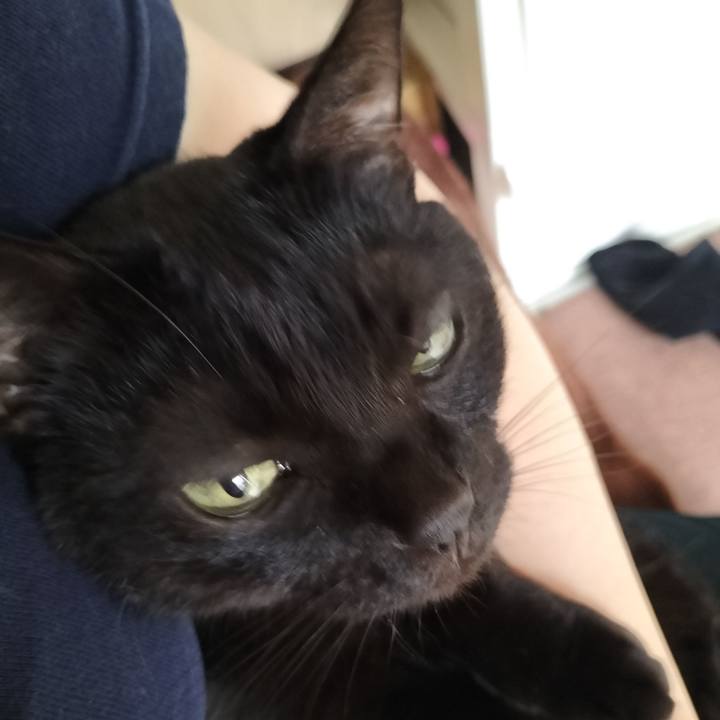 283f84c1 ebbe 46f1 bb12 d43c692195ca 1633562537630