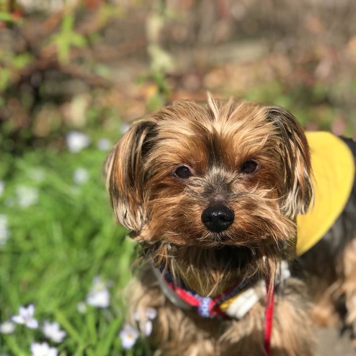 283faee9 4ad7 4cc0 81c9 d1d8f27ec3c7 1521772398508