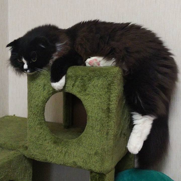 283fb7b5 73c3 409a b644 c99cabade155 1658920633252