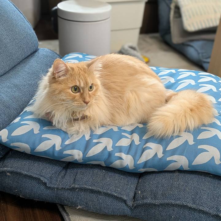 283fe0d0 db4c 4a46 b900 b33729813423 1747962467047