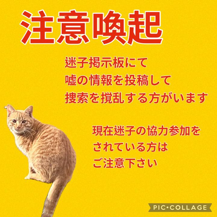 283fe8ea 5e38 45dd 913c 744a259e5349 1734210322513