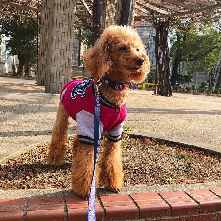 283ff683 4661 4390 9940 a085008bc1ad 1667696917514