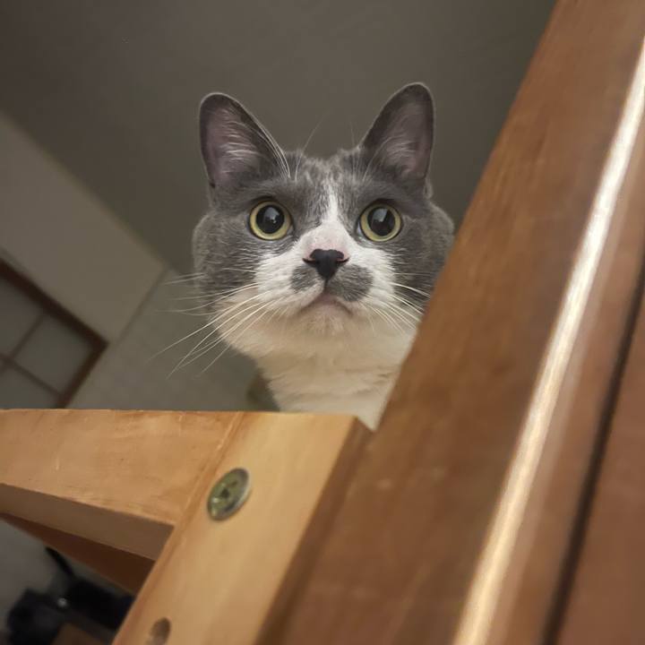 28404021 4a68 47f1 94b3 15ca3f541439 1750082499030