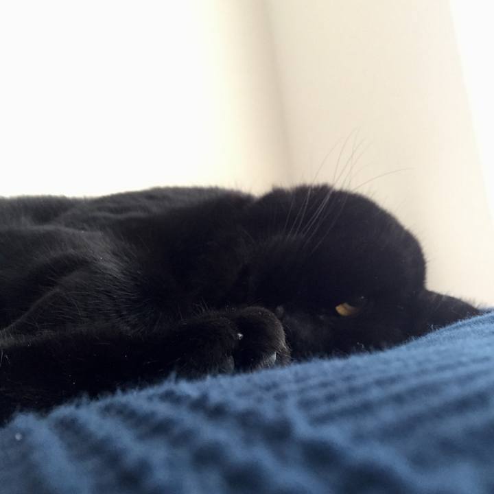 28408d99 0140 4ff3 8bba 7badb0e1eb26 1590541188548