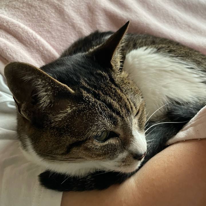 284091ba e560 42c9 b632 0fdb48dced72 1655257610615