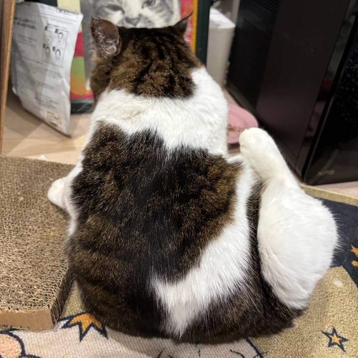 2840ad51 af34 4d6a a86e c59b96b936eb 1764718959851