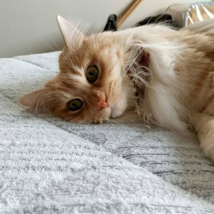 2840c910 10ca 47bd aad6 c15b53ff4ed8 1714367513841