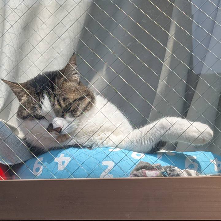 2840d035 ce38 4221 821e 84608260173b 1746334232997