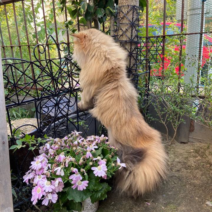 2840f615 6f6d 4641 b456 e0284f400914 1586392136951